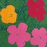 Flowers 1168 by Sunday B. Morning Andy Warhol contemporary artwork Print