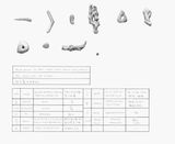 Coral Dictionary The arrow hits the target. by Chang Yuchen contemporary artwork works on paper drawing