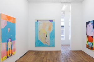 Amanda Wilkinson Gallery contemporary art gallery in London United Kingdom