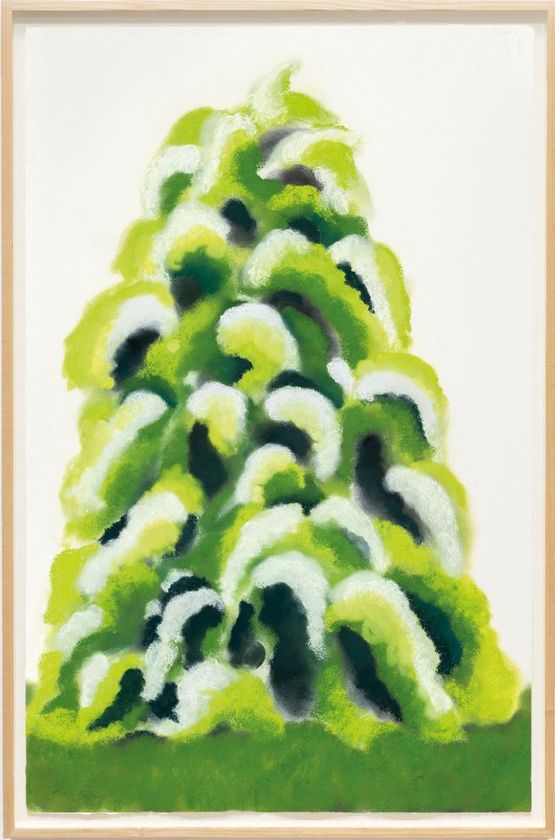 Hawthorn by David Nash contemporary artwork Painting