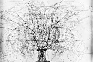 Walter Schels