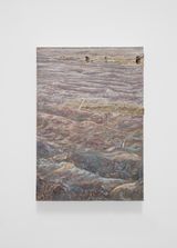Surface to Air I TartarugaMorning by Anri Sala contemporary artwork painting
