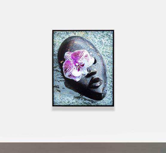 Figi by Awol Erizku contemporary artwork Photography