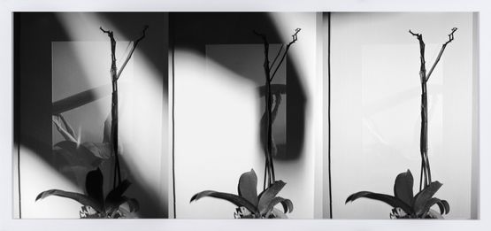 From the series Constructed_30 by Zeynep Kayan contemporary artwork Photography