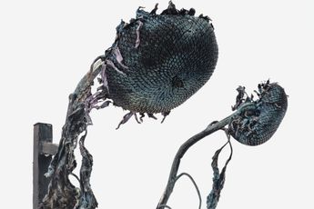 Contemporary art exhibition Sterling Ruby TILL DEATH DO US PART at Gagosian rue de Castiglione Paris France