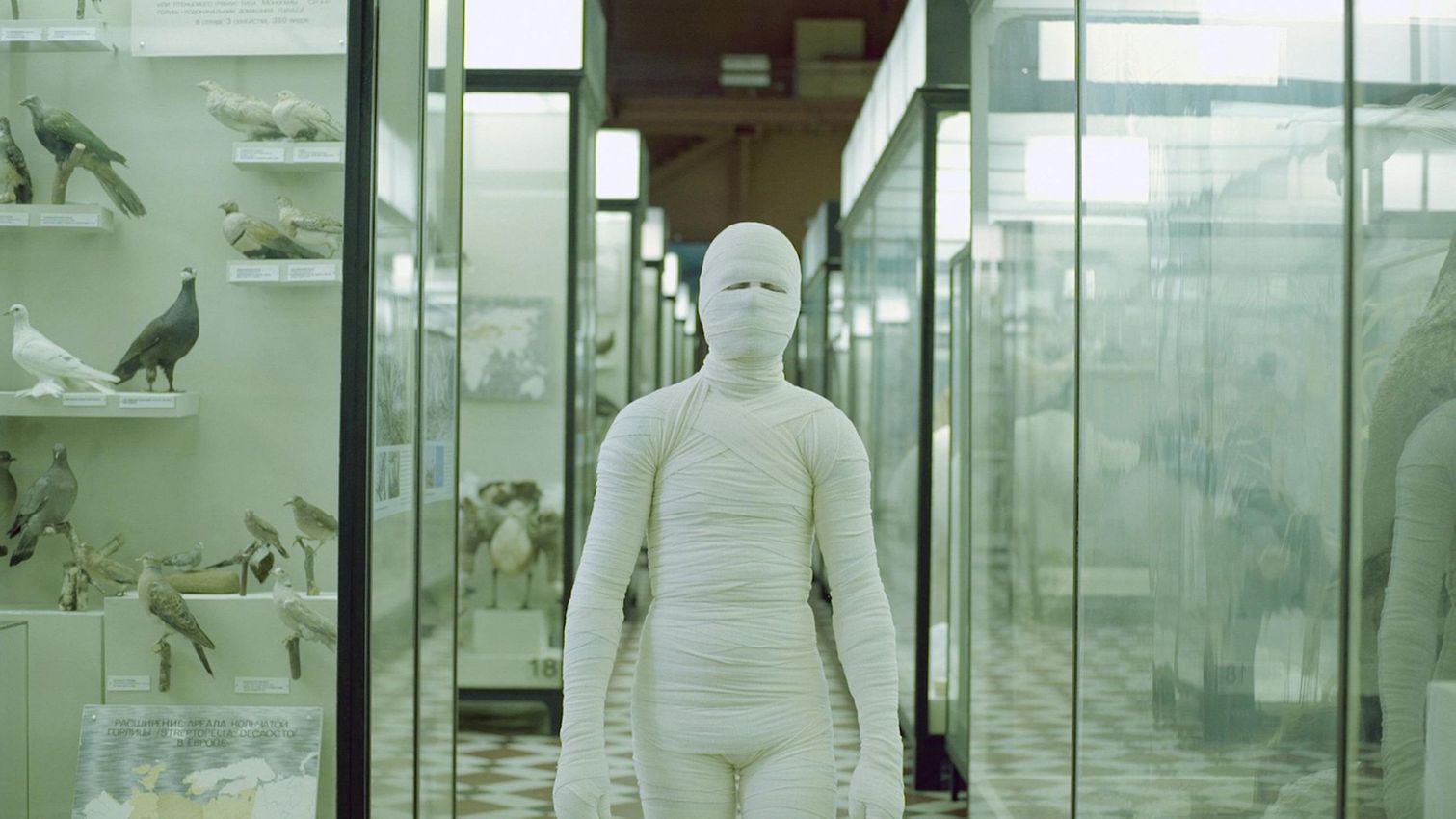 ANTON VIDOKLE