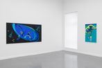 Cybele Varela contemporary artist