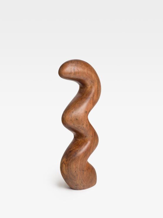 Boogey Snake by Claudia Comte contemporary artwork Sculpture
