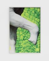 The Old Centaur by Viviane Sassen contemporary artwork print