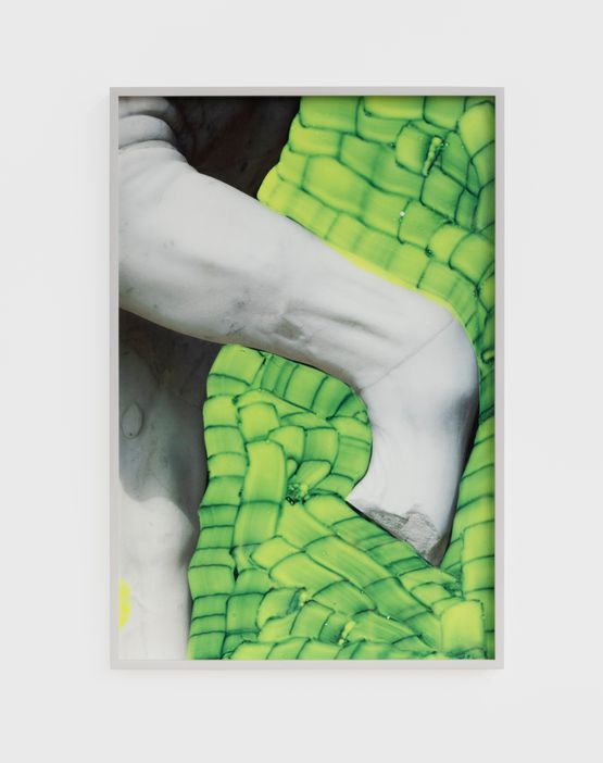 The Old Centaur by Viviane Sassen contemporary artwork Print