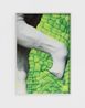 The Old Centaur by Viviane Sassen contemporary artwork Print