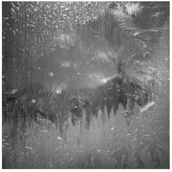 Crystals Siberia I by Tomoko Yoneda contemporary artwork Photography