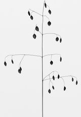 Briza media Gemeines Zittergras by Peter Mathis contemporary artwork photography print