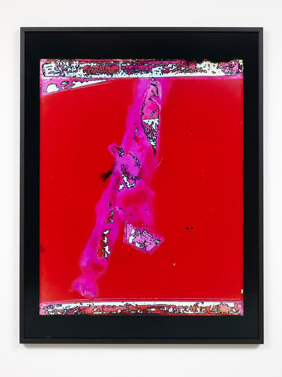 Antidote by Justine Varga contemporary artwork Photography