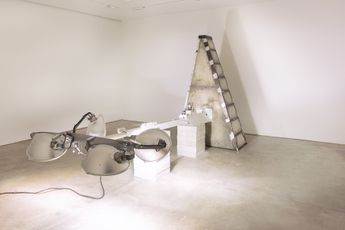 Nari Ward contemporary artist