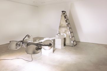 Nari Ward contemporary artist
