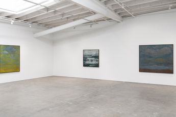 Contemporary art exhibition Shota Nakamura Apple at Karma Los Angeles United States
