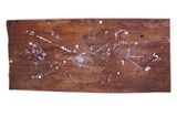 Instrumental Drawing 22 by Ken Ikeda contemporary artwork mixed media