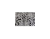 Untitled Ref.5 by Nick Terry contemporary artwork painting works on paper