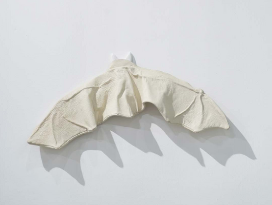 Clothes for Bat by Han Feng contemporary artwork Mixed Media