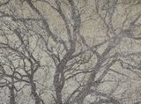 Natura Stocastica by Luca Pancrazzi contemporary artwork painting