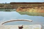 Robert Smithson contemporary artist