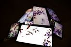 Thousands 2 by Ursula Palla contemporary artwork Moving Image