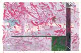 Lightly Flying Petals by Chu Chu contemporary artwork painting photography works on paper