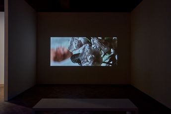 Contemporary art exhibition Amie Siegel Backstory at Thomas Dane Gallery London United Kingdom