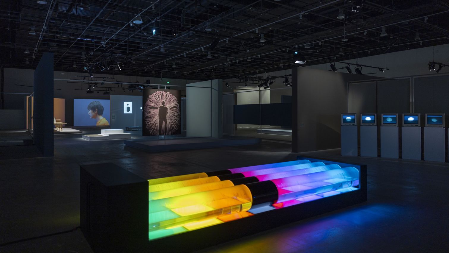 Meekyoung Shin, 'Celestial Whisper' at Seoul Museum of Art