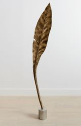 Tree 4 Pacho by Shan Hur contemporary artwork sculpture