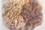 Stefan Loffelhardt contemporary artist