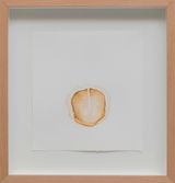 seed xii by Yasam Sasmazer contemporary artwork painting works on paper