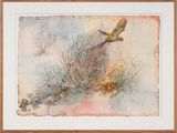 The other side of paradise - Princess Parrot and the last Paradise Parrot by John Wolseley contemporary artwork works on paper