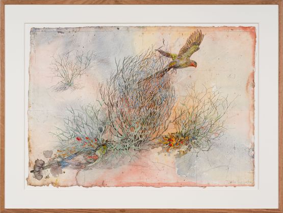 The other side of paradise - Princess Parrot and the last Paradise Parrot by John Wolseley contemporary artwork Works on Paper