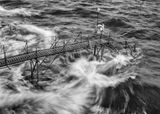 The shape of a white water dragon appears over a jetty in Victoria Harbour. Hong Kong by Palani Mohan contemporary artwork photography print
