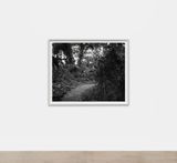 Untitled Curve in the Trail by Dawoud Bey contemporary artwork photography