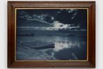 Herbert Ponting contemporary artist