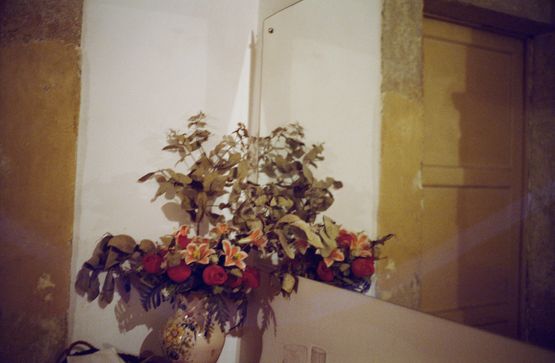 Natureza morta by Mauro Restiffe contemporary artwork Photography