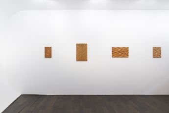 Contemporary art exhibition Sasha Holzer Recent works at Bartha_contemporary London United Kingdom
