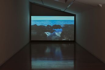 Contemporary art exhibition Greta Anderson Screensaver at Two Rooms Auckland New Zealand