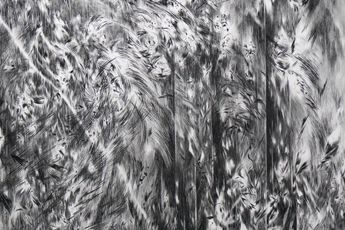 Julia Steiner contemporary artist