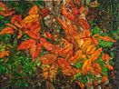 Le bouquet II by Tamara Haddad contemporary artwork Painting