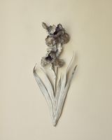 German Iris 2 by Kaori Tatebayashi contemporary artwork sculpture