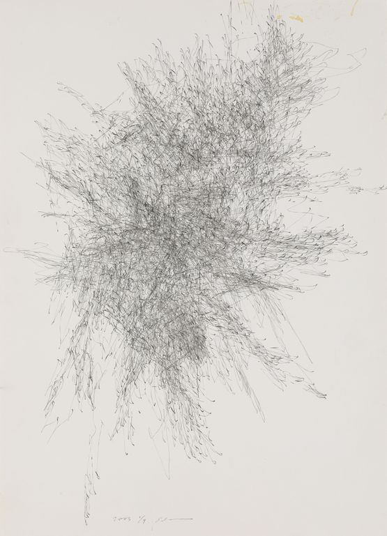 DRAWING 030107-1 by Choi Sang Chul contemporary artwork Works on Paper