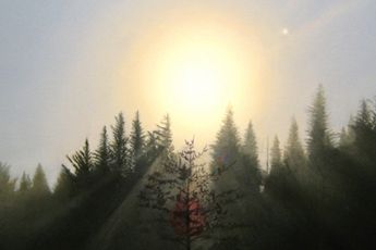 Contemporary art exhibition Trenton Garratt Whats the Sun at Starkwhite Auckland New Zealand