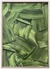 The Champions A1 by Werner Bronkhorst contemporary artwork Print