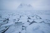 The Frozen Realm 6 by Michel Zoghzoghi contemporary artwork print