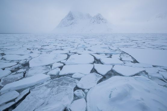 The Frozen Realm 6 by Michel Zoghzoghi contemporary artwork Print