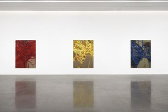 Contemporary art exhibition Nigel Cooke New Paintings at Pace Gallery 540 West 25th Street New York United States